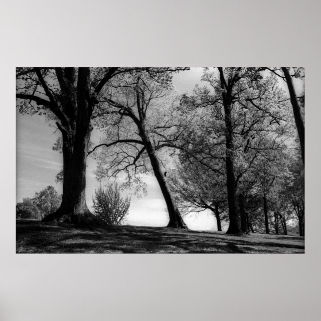 Poster Capture (Devant)