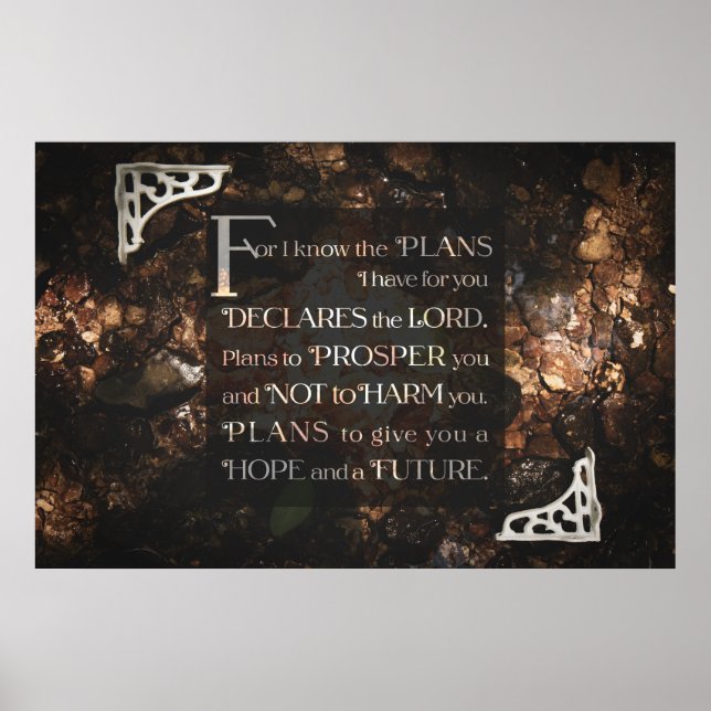 Poster Car je connais les plans que j'ai pour vous (Devant)