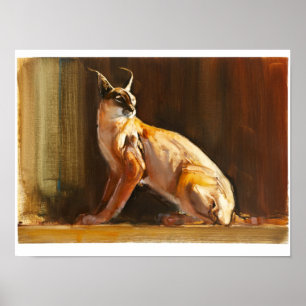 Poster Caracal arabe 2010