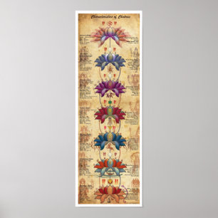 Poster Caractéristiques des chakras - Style contrastif