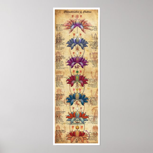 Poster Caractéristiques des chakras - Style contrastif (Devant)