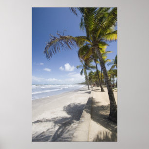 Poster Caraïbes - Trinidad - Manzanilla Beach sur