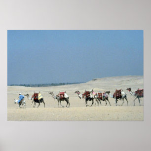 Poster Caravane de chameau croisant le Sahara