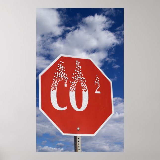 POSTER   Carbon Footprint (Front)