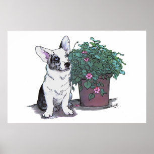 Poster Cardigan Welsh Corgi Imprimer ~ Blue Merle