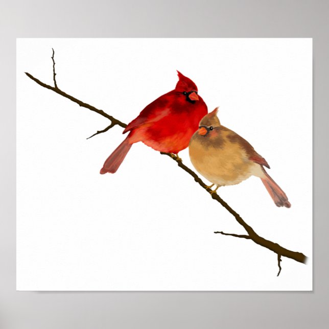 Poster Cardinal (Devant)