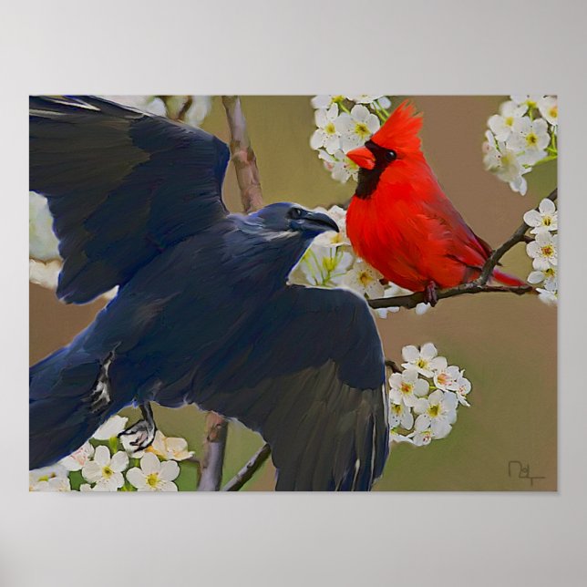 Poster cardinal (Devant)