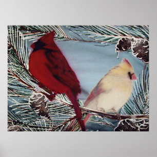 Poster Cardinal