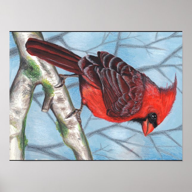 Poster cardinal (Devant)