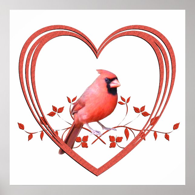 Poster Cardinal au coeur (Devant)