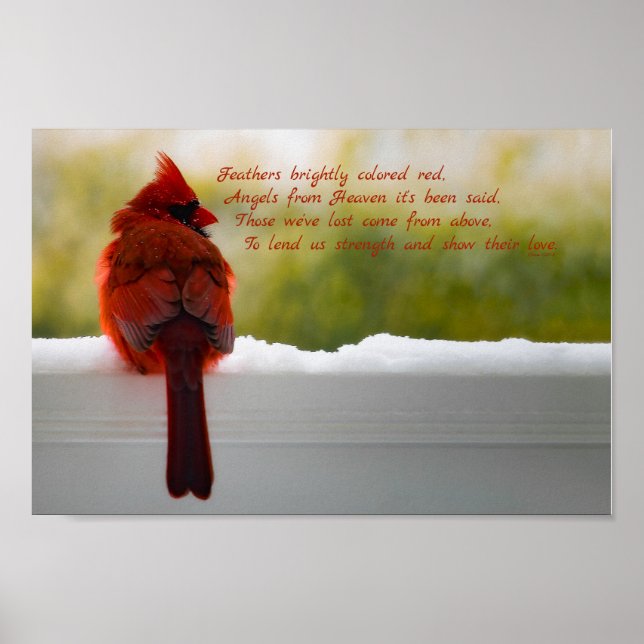 Poster Cardinal avec Visiteur du Ciel poème 12x8 (Devant)