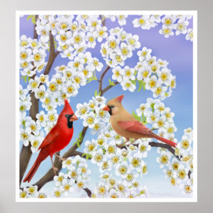 Poster Cardinal Couple in Apple Blossoms Print