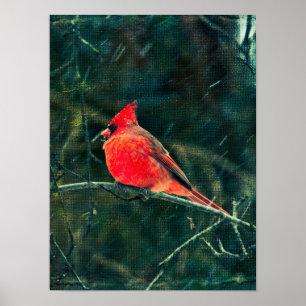 Poster Cardinal d'hiver en tempête de neige - Amélioré