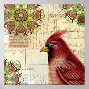Poster Cardinal et cartes postales