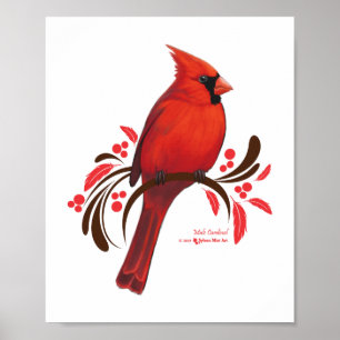 Poster Cardinal masculin