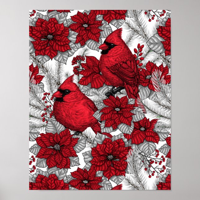 Poster Cardinaux et poinsettia en rouge et blanc (Devant)