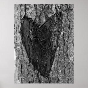 Poster Cardiologie des arbres