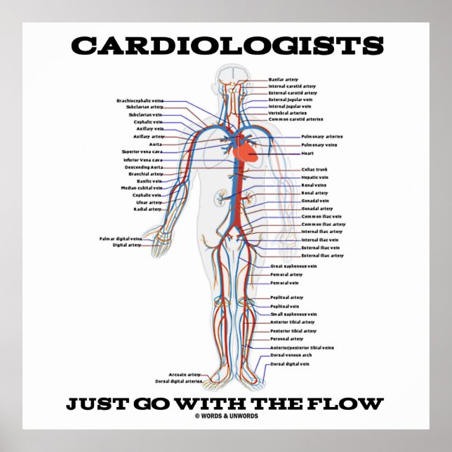 Poster Cardiologits Just Go With The Flow (Devant)
