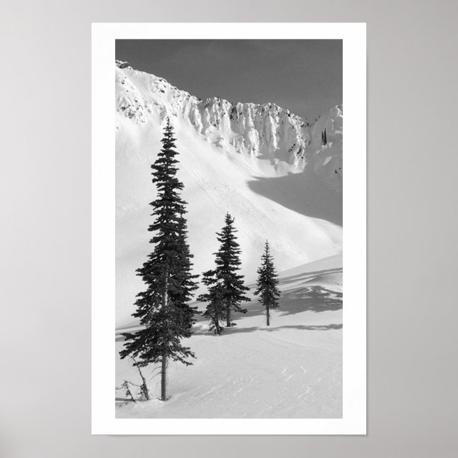 Poster Cariboos : Petite diapositive (Devant)