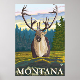 Poster Caribou dans le sauvage - le Montana