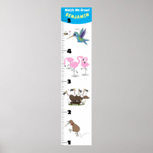 Poster Caricature d'oiseaux amusant mignon graphique de c