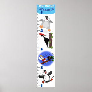Poster Caricature d'oiseaux amusant mignon graphique de c