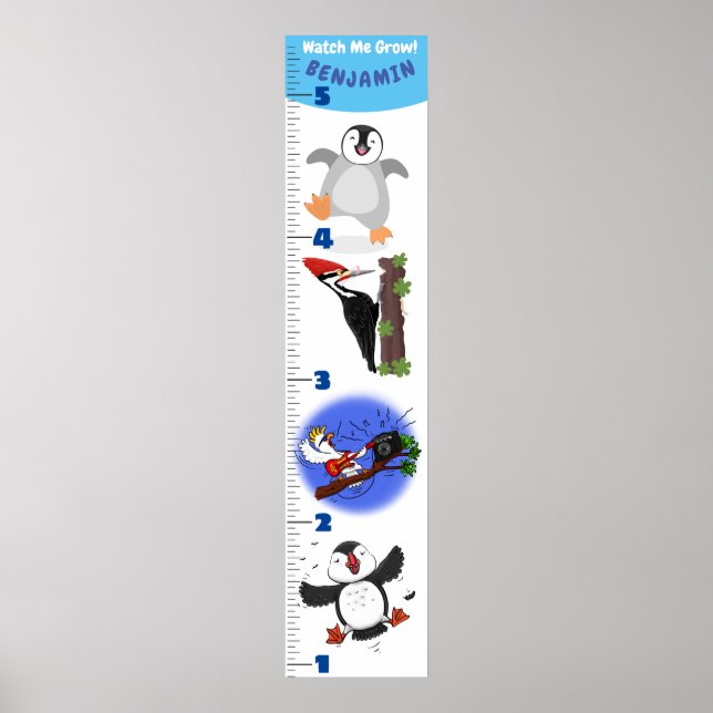 Poster Caricature d'oiseaux amusant mignon graphique de c (Devant)