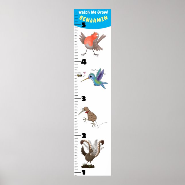 Poster Caricature d'oiseaux amusants (Devant)