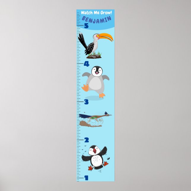 Poster Caricature d'oiseaux amusants (Devant)