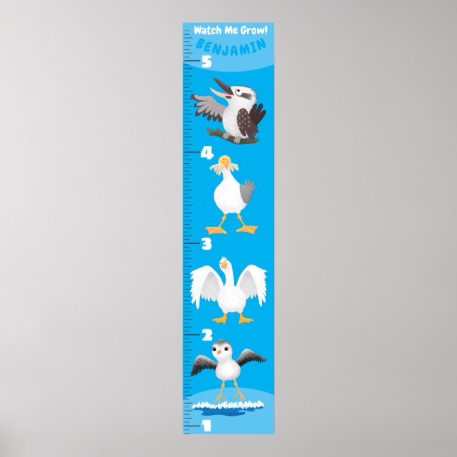 Poster Caricatures d'oiseaux drôles (Devant)