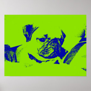 Poster Carlin Affiche-Vert
