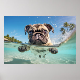 Poster Carlin animal chien animal chien jeu d'eau dehors
