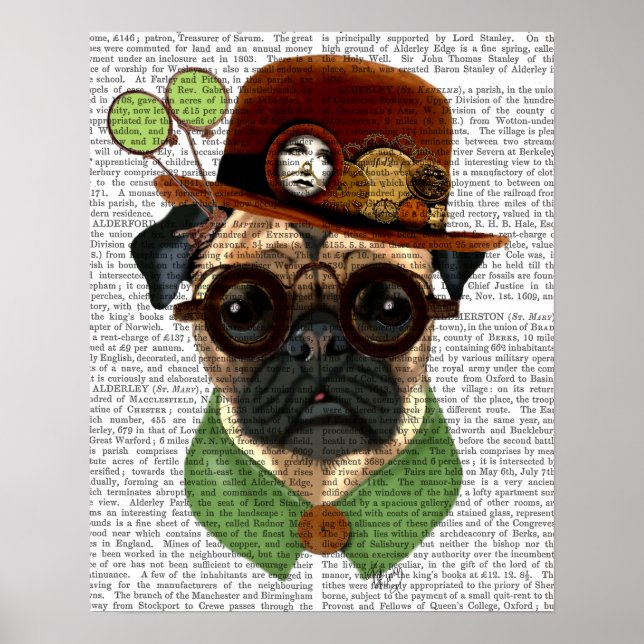 Poster Carlin avec Casquette Steampunk Bowler (Devant)