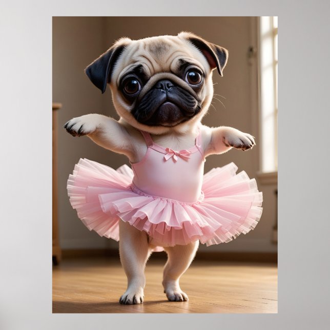 Poster Carlin Ballerina (Devant)