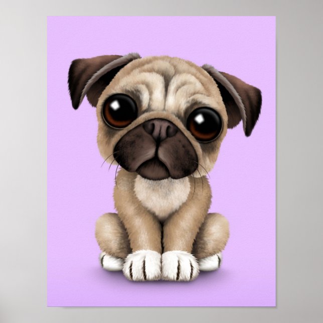 Poster Carlin bébé mignon Chien chiot sur pourpre (Devant)