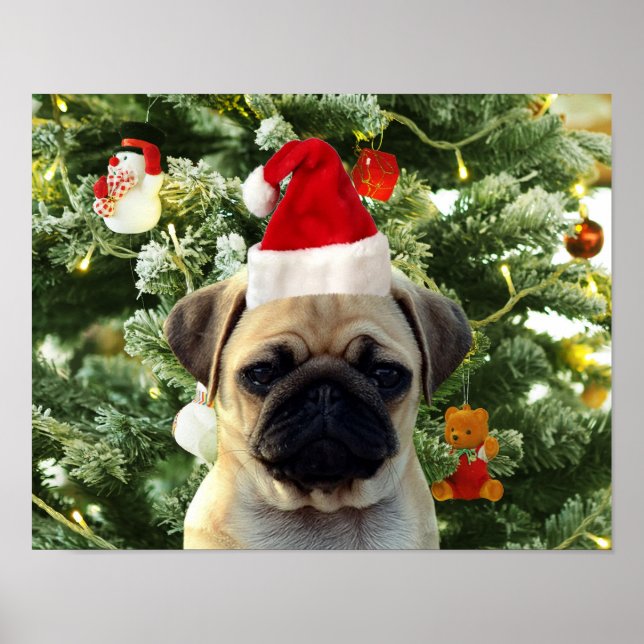 Poster Carlin Chien Chien Chien de Noël Arbre de Noël Orn (Devant)