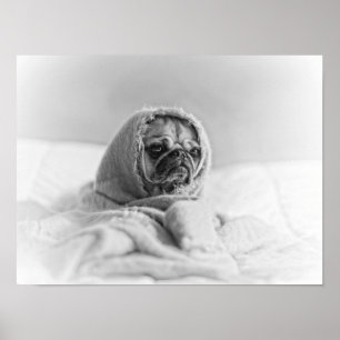 Poster Carlin de mère patrie