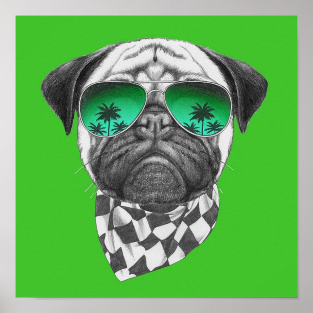 Poster Carlin de Miami (Devant)