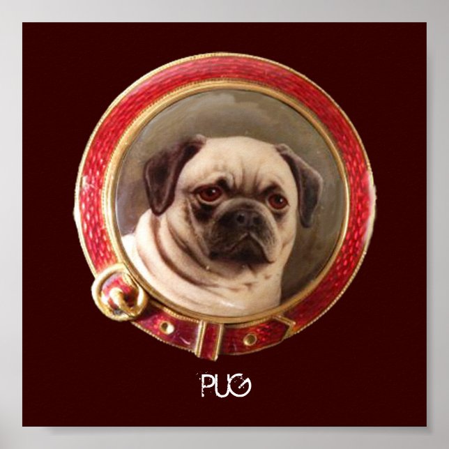 POSTER CARLIN DE PORTRAITS DE CHIEN DE MINIATURE VICTORIE (Devant)