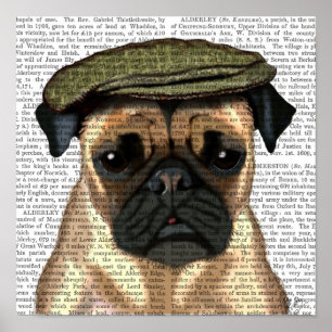 Poster Carlin en Casquette plat