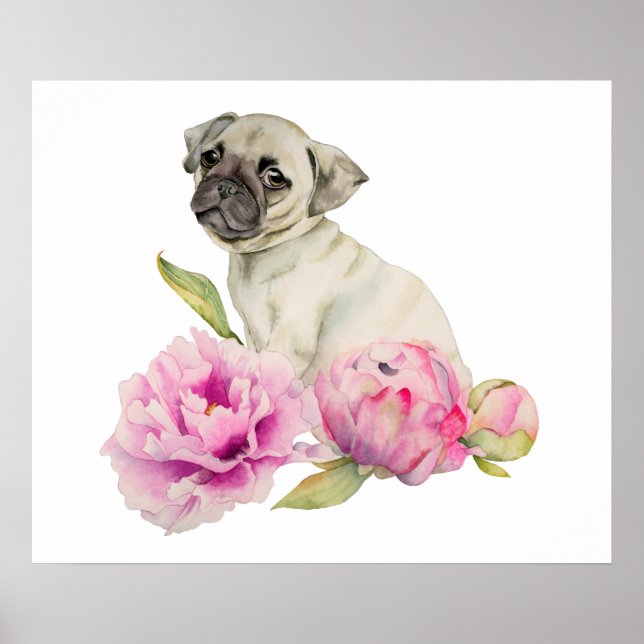 Poster Carlin et pivoines | Illustration aquarelle (Devant)