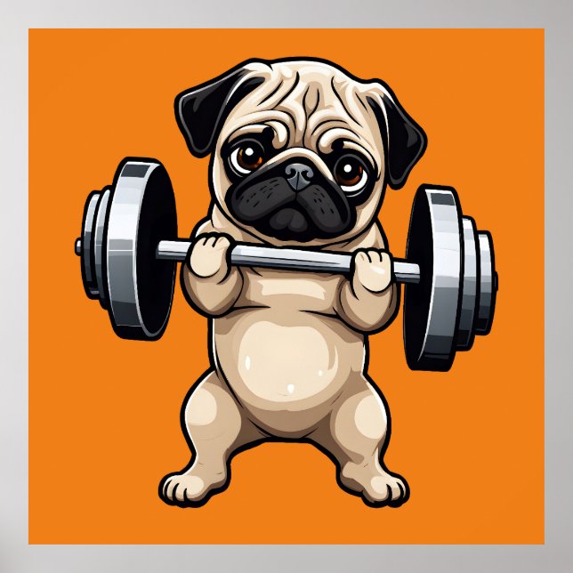 Poster Carlin fitness (Devant)