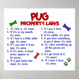 POSTER CARLIN PL2