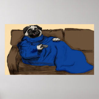 Poster Carlin Snug