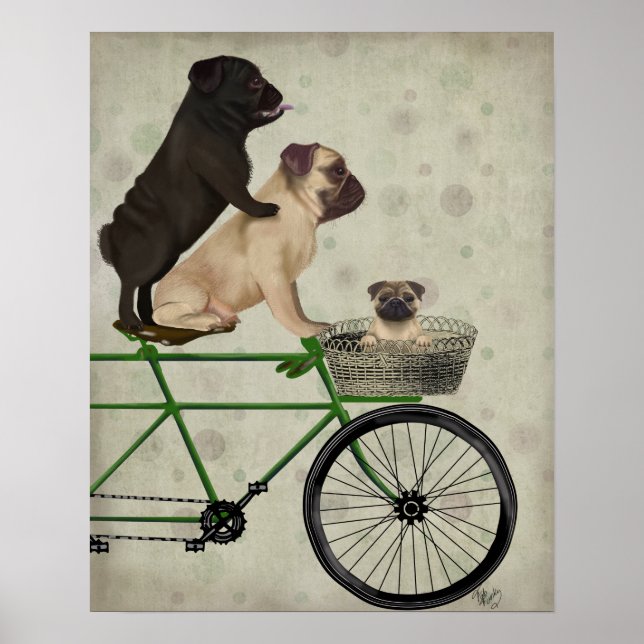 Poster Carlins à vélo (Devant)
