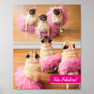 Poster Carlins Ballerina En Tutus