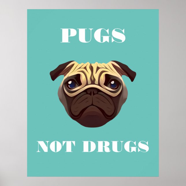 Poster Carlins et non drogues (Devant)