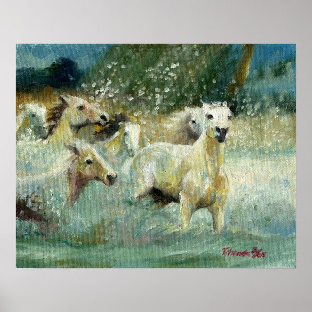 Poster Carmargue Horse Portrait (Devant)