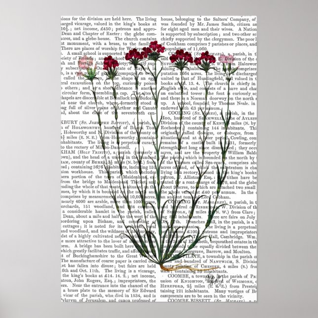 Poster Carnation italienne 4 (Devant)