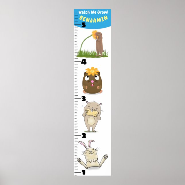 Poster Carnet de croissance des animaux de rongeurs amusa (Devant)